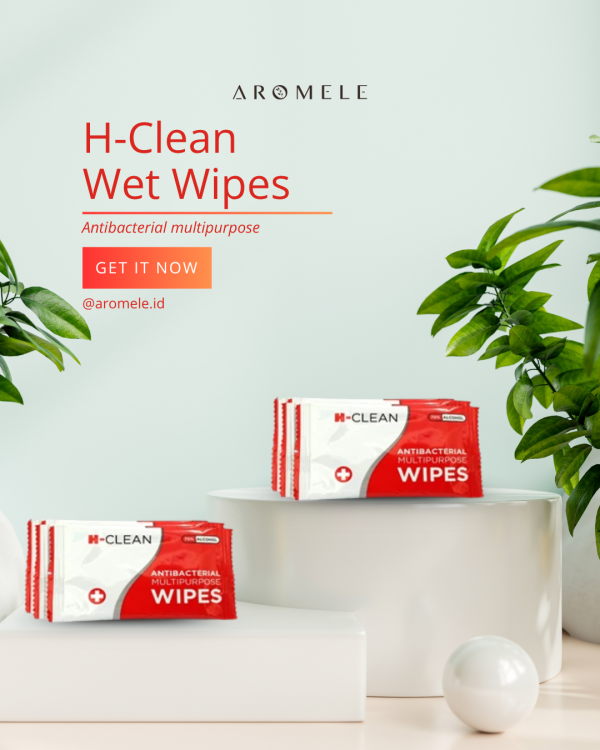 H-Clean - Wet Wipes 5 gr - Image 2