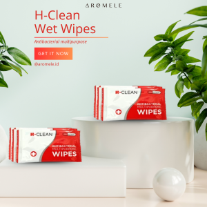 H-Clean - Wet Wipes 5 gr